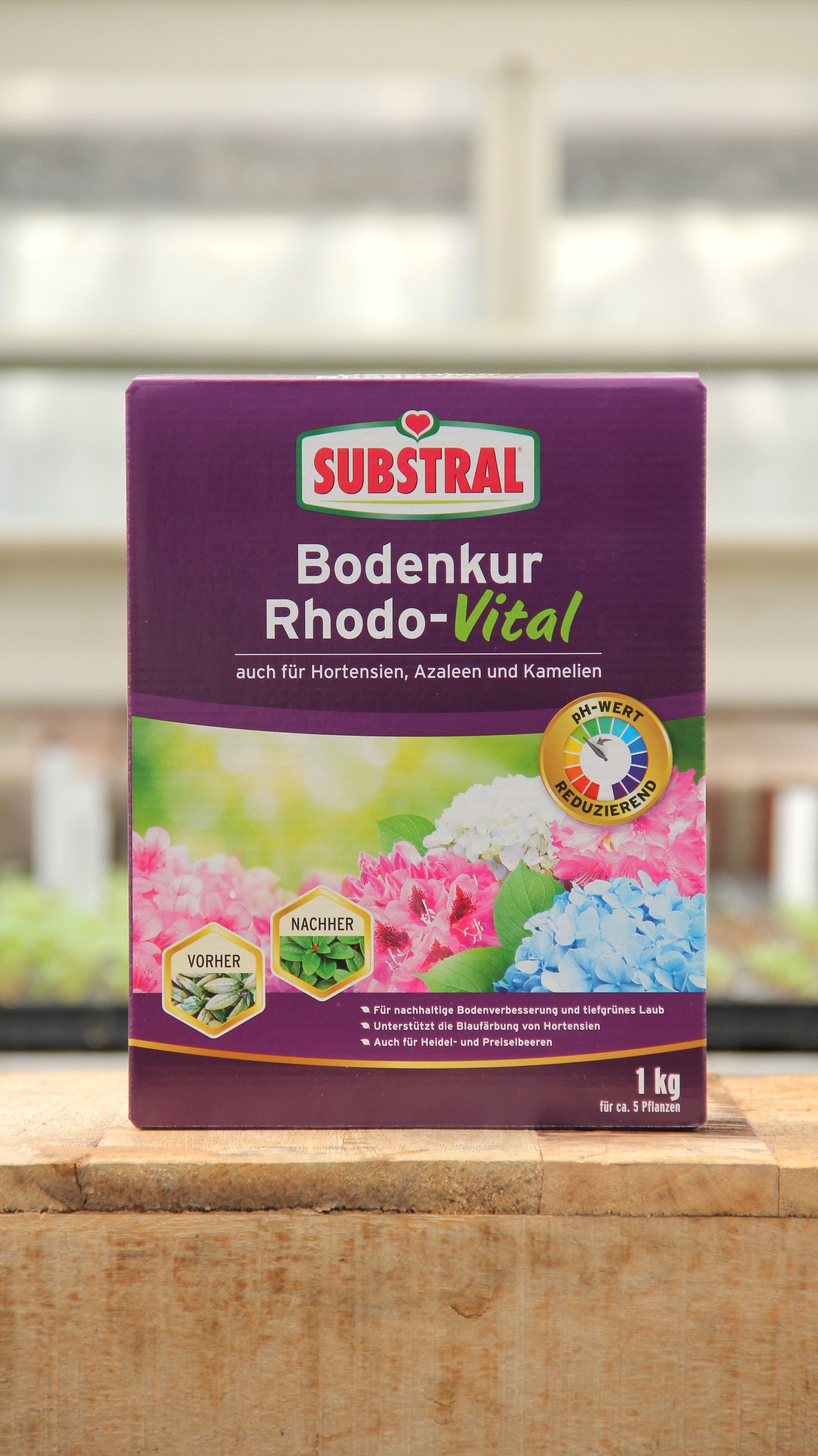 Ein 1 kg-Karton Substral | Bodenkur Rhodo-Vital für Hortensien, Azaleen und Kamelien steht auf einer Holzfläche und zeigt bunte Blumen auf der Verpackung, während im Hintergrund ein Gewächshaus zu sehen ist.