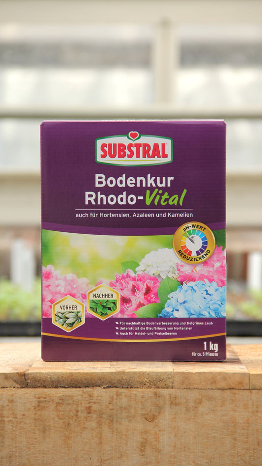 Ein 1 kg-Karton Substral | Bodenkur Rhodo-Vital für Hortensien, Azaleen und Kamelien steht auf einer Holzfläche und zeigt bunte Blumen auf der Verpackung, während im Hintergrund ein Gewächshaus zu sehen ist.
