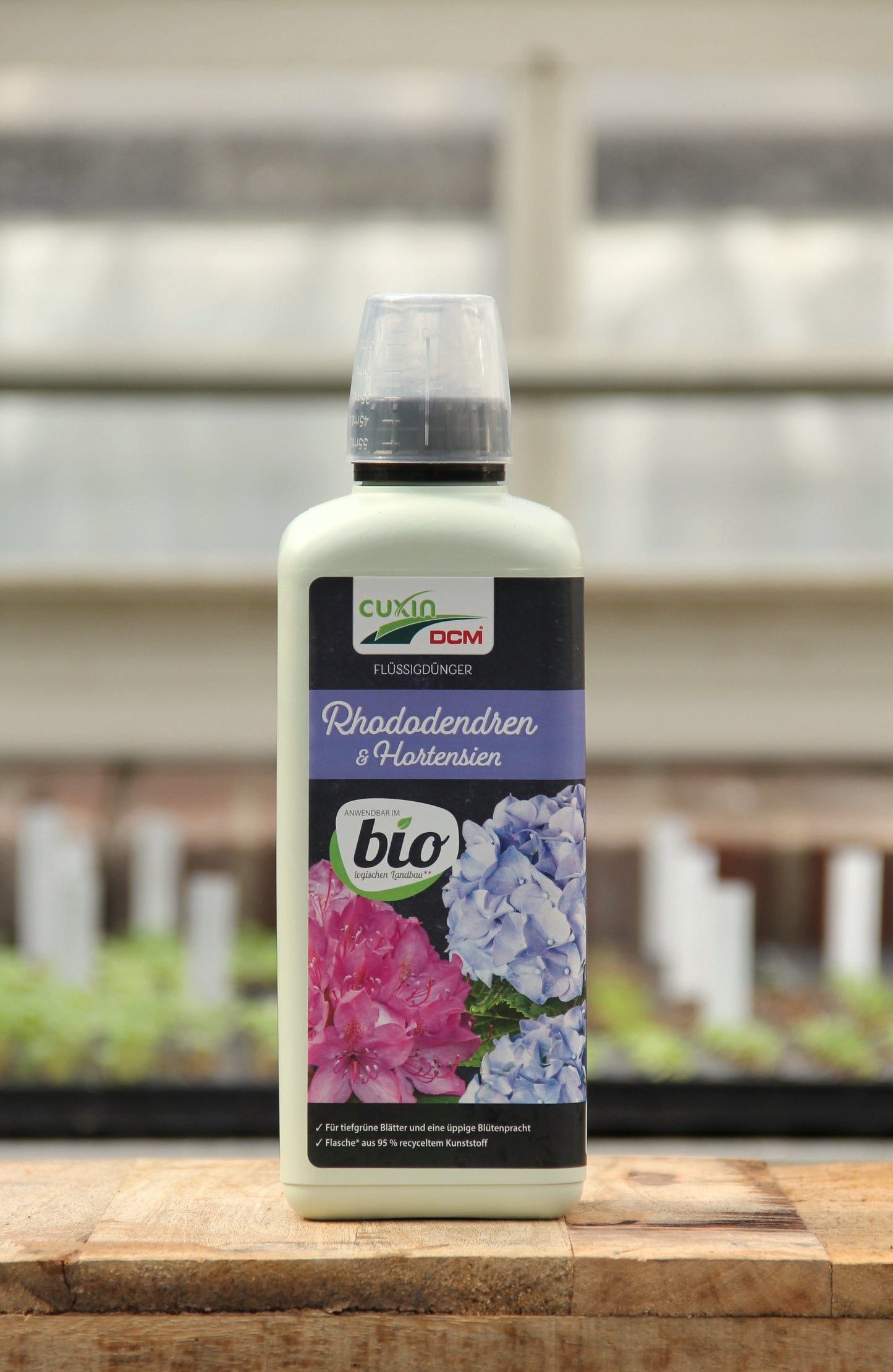 Eine 800-ml-Flasche Cuxin Rhododendren- und Hortensien Flüssigdünger steht auf Holz; auf dem Etikett sind rosa und blaue Blüten, ein Biosiegel und im Hintergrund verschwommene Moorbeetpflanzen zu sehen.