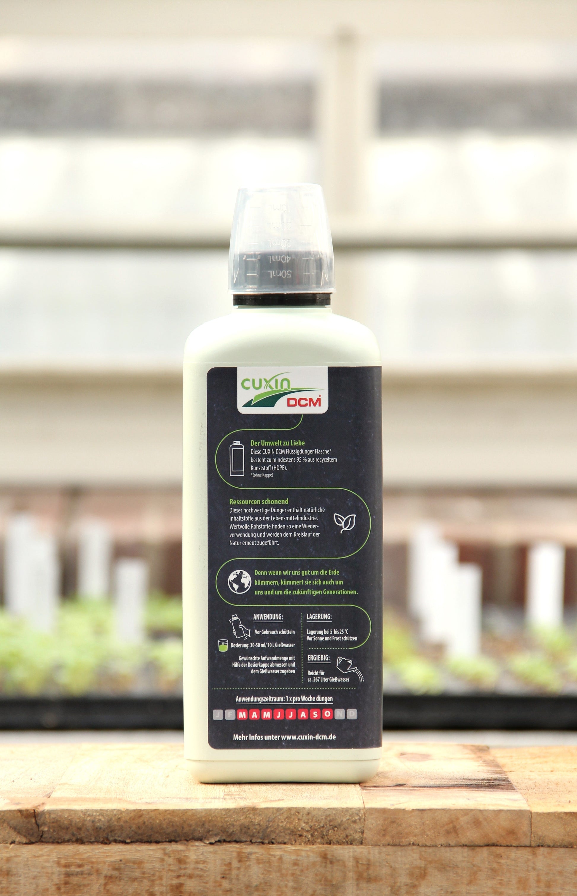 Eine Flasche Cuxin | Rhododendren- und Hortensien Flüssigdünger 800 ml steht auf einer Holzfläche, dahinter ein verschwommenes Gewächshaus mit üppigen grünen Pflanzen. Auf dem Rückenetikett sind Anweisungen und Produktangaben deutlich zu erkennen.