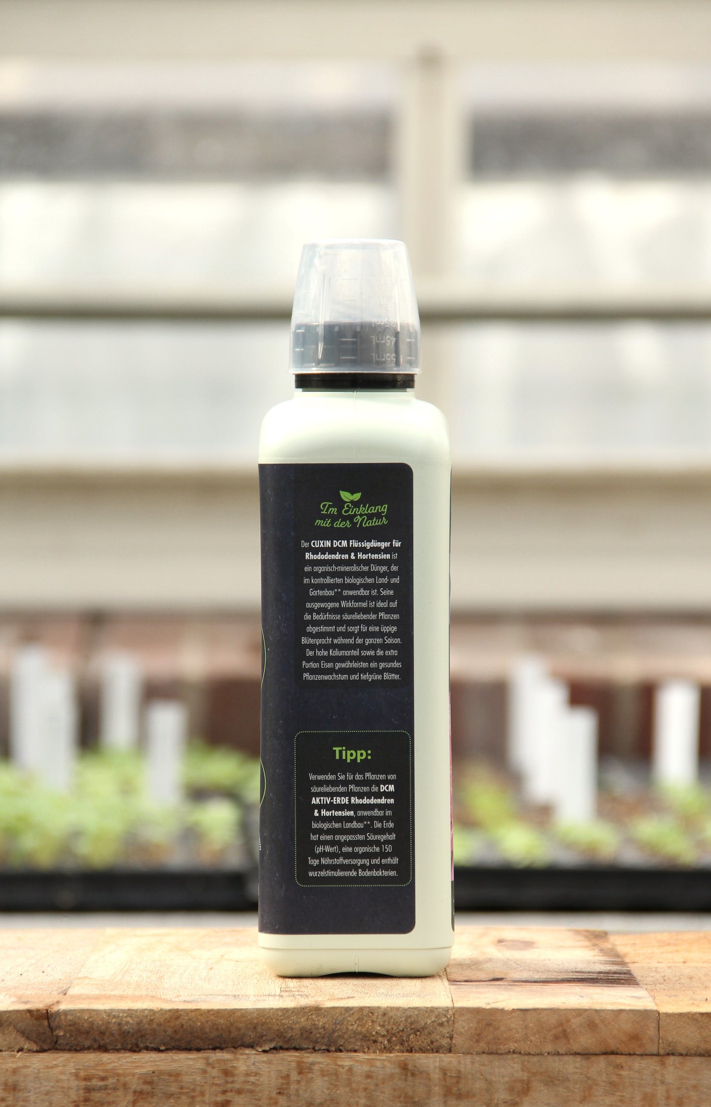 Eine Flasche Cuxin | Rhododendren- und Hortensien Flüssigdünger 800 ml mit durchsichtigem Verschluss steht auf einer Holzfläche in einem Gewächshaus, vor Setzlingen und weißen Pflanzenetiketten. Das Rückenetikett mit der Gebrauchsanweisung ist sichtbar.