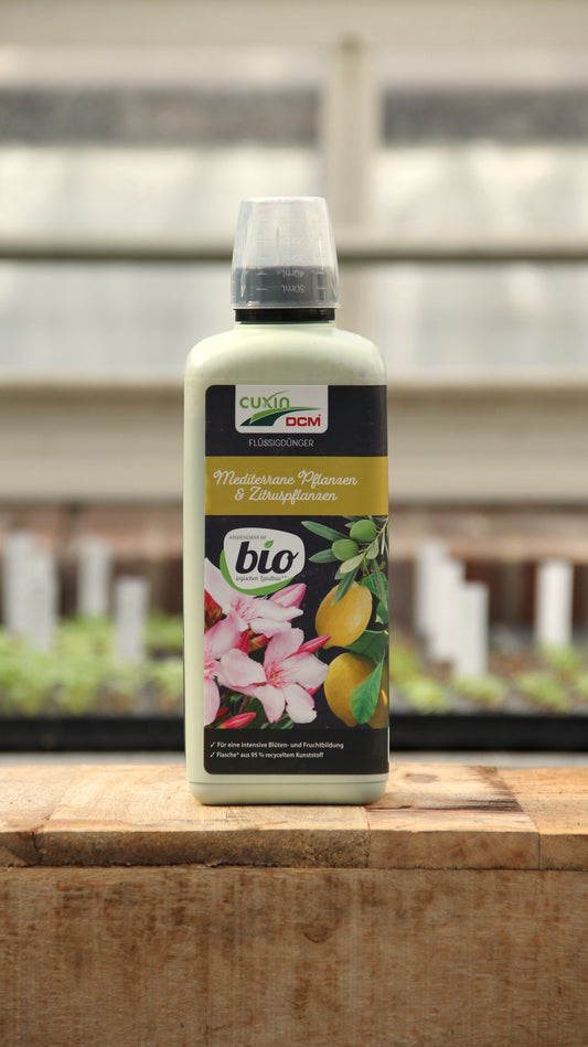 Eine 800-ml-Flasche Cuxin | Flüssigdünger Mediterrane Pflanzen & Zitruspflanzen Bio steht auf einer Holzfläche mit der Marke Cuxin und einem unscharfen Gewächshaus im Hintergrund.