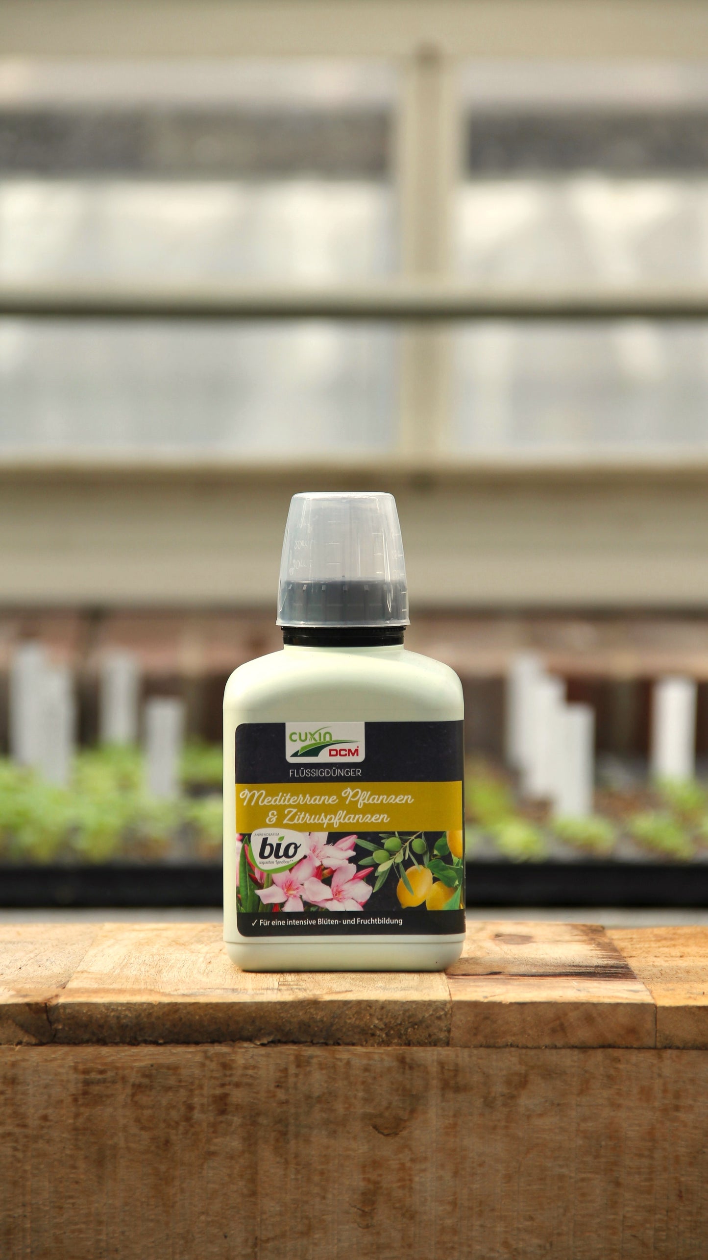 Auf einer Holzplatte steht eine 400-ml-Flasche Cuxin Flüssigdünger Mediterrane Pflanzen & Zitruspflanzen Bio, auf deren deutschem Etikett Blumen abgebildet sind, während im Hintergrund sanft verschwommene Gewächshausregale zu sehen sind.