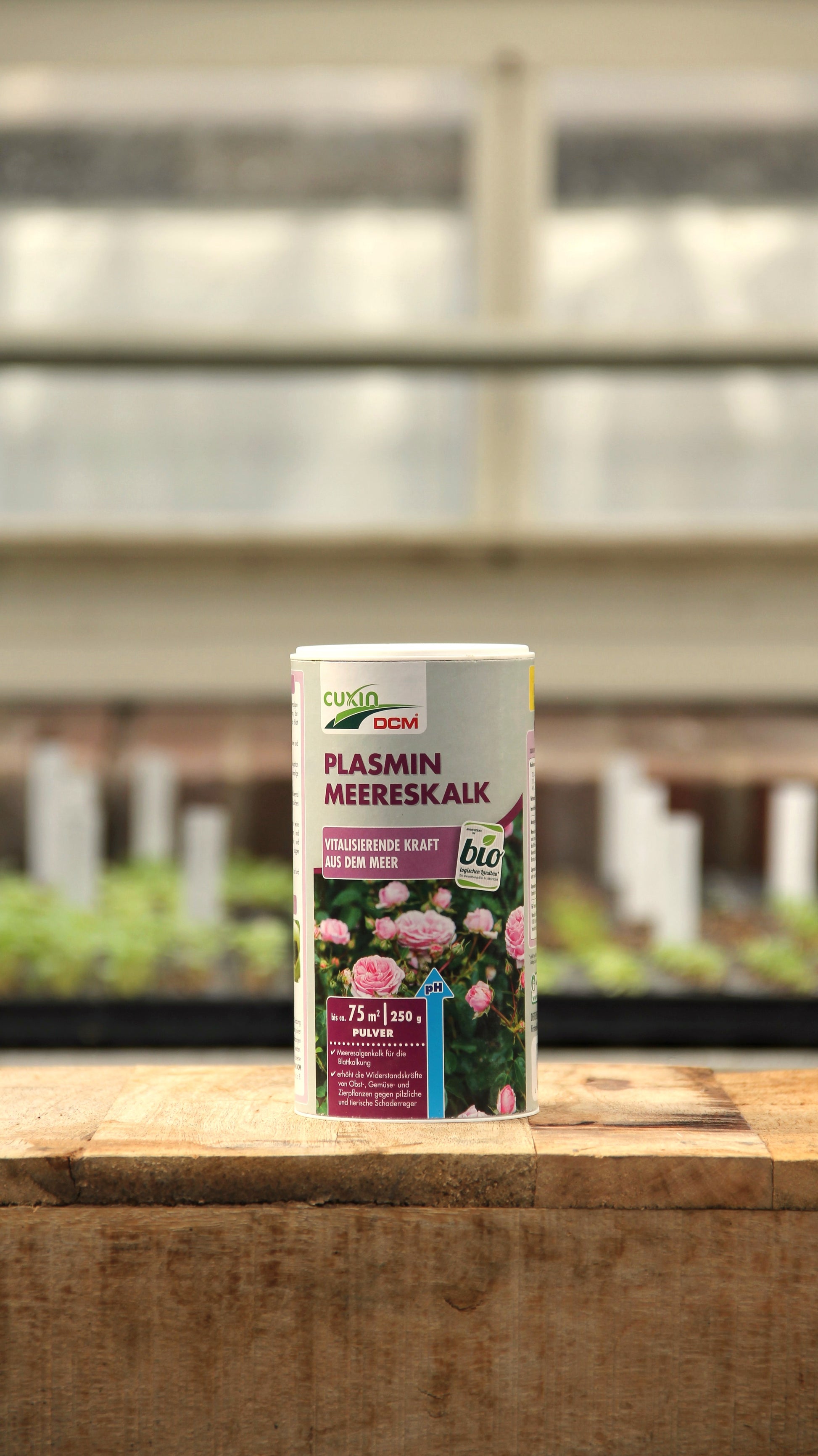 Ein zylindrischer Behälter mit Königliche Gartenakademie Cuxin | Plasmin Meereskalk 250 g, einem kalkhaltigen Bodenverbesserer für Pflanzen, steht auf einer Holzfläche mit Grünpflanzen und einem Fenster im Hintergrund.