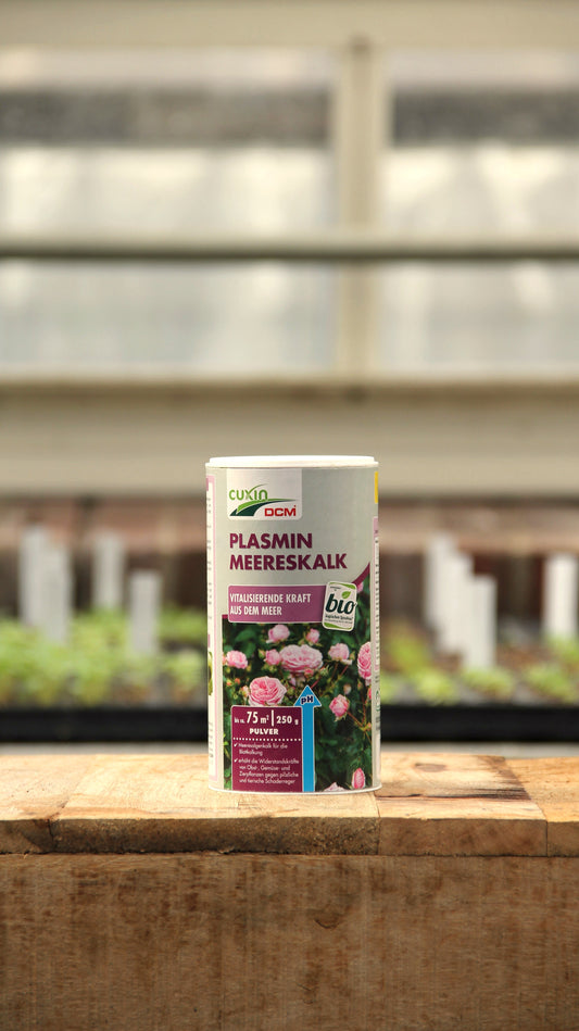 Ein zylindrischer Behälter mit Königliche Gartenakademie Cuxin | Plasmin Meereskalk 250 g, einem kalkhaltigen Bodenverbesserer für Pflanzen, steht auf einer Holzfläche mit Grünpflanzen und einem Fenster im Hintergrund.