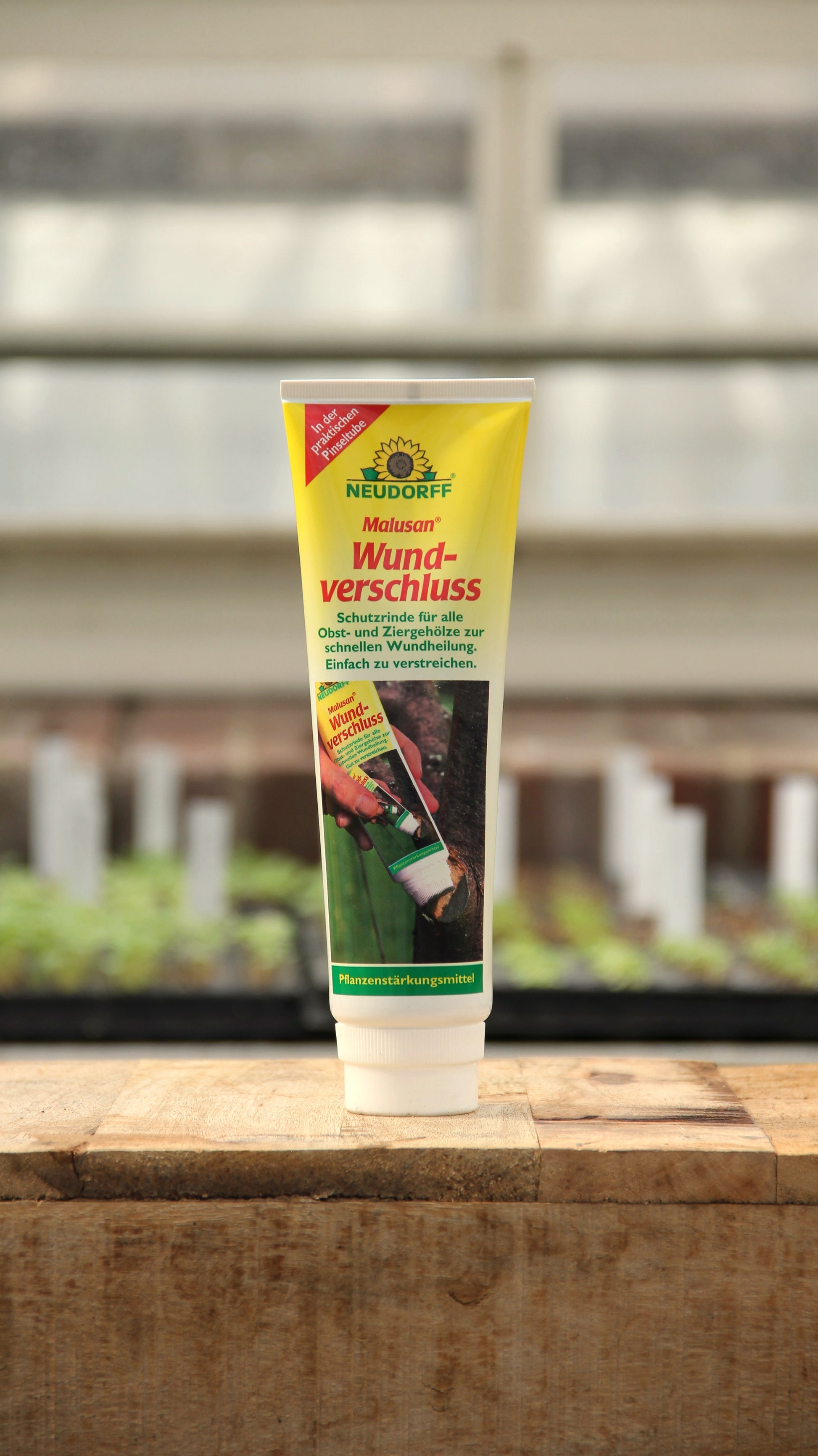 Eine 275-ml-Tube Neudorff | Malusan Baumwundverschluss steht aufrecht auf einer hölzernen Oberfläche, mit unscharfen Gewächshauspflanzen im Hintergrund.