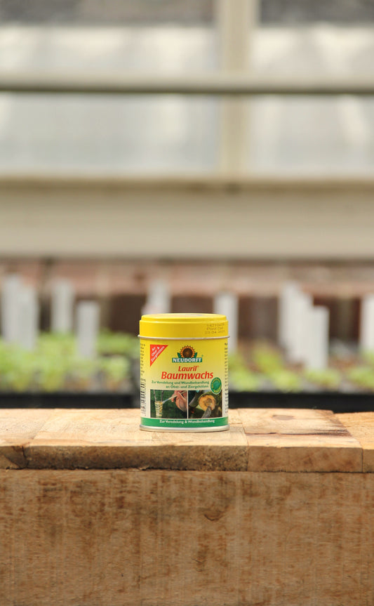 Eine gelbe Neudorff Lauril Baumwachs 125 g Dose ruht auf einer hölzernen Oberfläche, während im Hintergrund unscharfe Pflanzen und eine Gewächshausstruktur erscheinen.