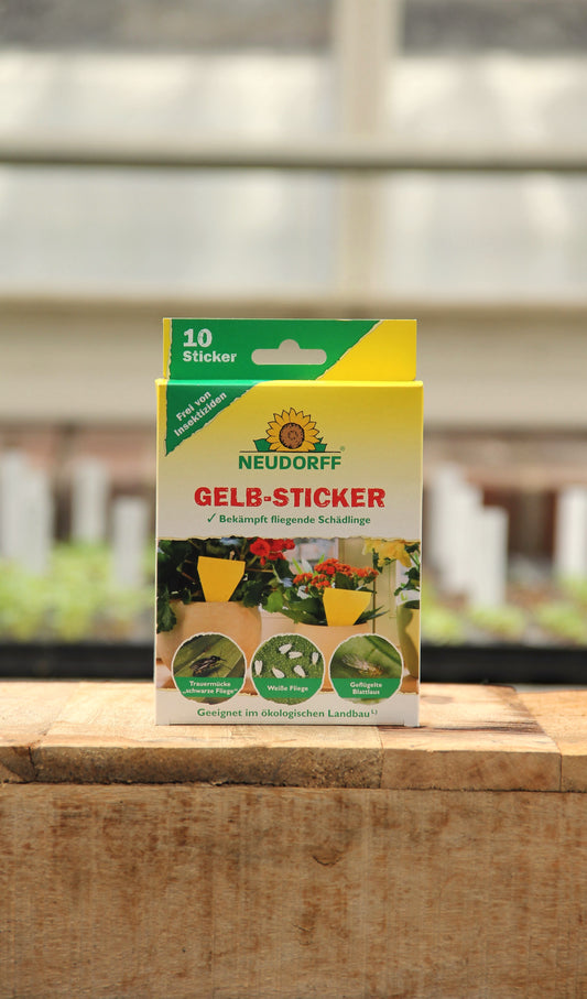 Eine Schachtel Neudorff | Insektizidfreie Gelb-Sticker 10 Stk. wird auf einer hölzernen Oberfläche gezeigt, mit einem verschwommenen grünen Hintergrund, der durch das Fenster dahinter sichtbar ist.