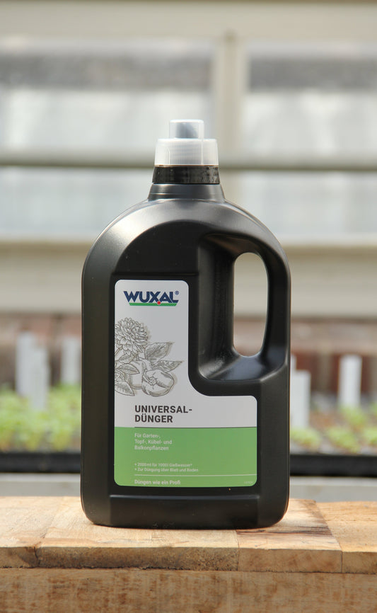 Eine schwarze 2-Liter-Flasche Wuxal Universaldünger mit einem weiß-grünen Etikett steht auf einer Holzfläche vor unscharfen Pflanzen und einem Fenster.