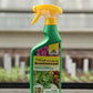 Eine grüne 500-ml-Sprühflasche von Neudorff | BioKraft Grundstoff Brennnessel steht auf einem Holz mit Setzlingen und einem unscharfen Gewächshausfenster im Hintergrund, das den natürlichen Pflanzenschutz gegen Blattläuse betont.