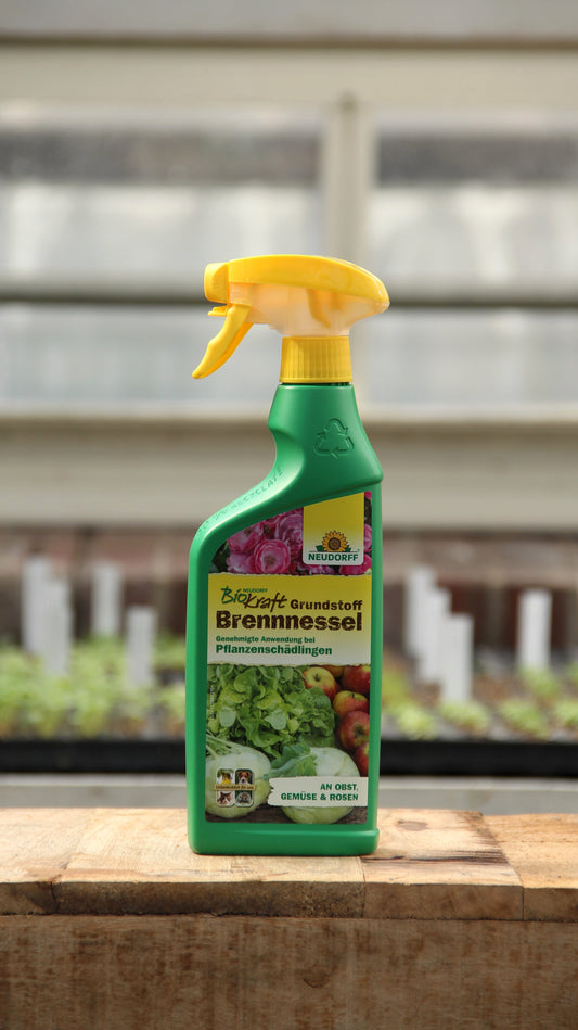 Eine grüne 500-ml-Sprühflasche von Neudorff | BioKraft Grundstoff Brennnessel steht auf einem Holz mit Setzlingen und einem unscharfen Gewächshausfenster im Hintergrund, das den natürlichen Pflanzenschutz gegen Blattläuse betont.