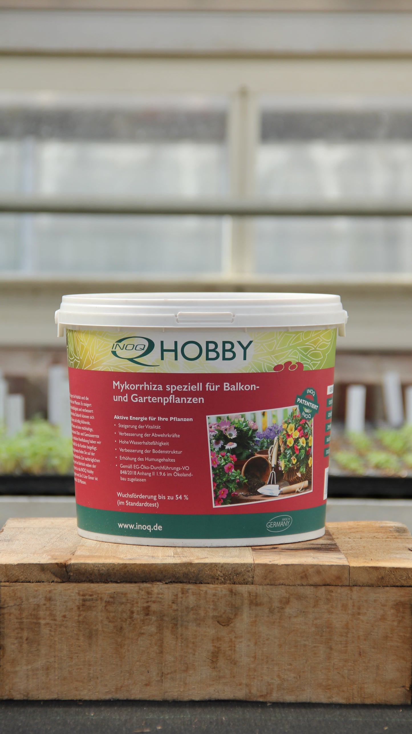 Ein 5-Liter-Eimer Inoq INOQ Hobby Mykorrhiza Wurzelkraft für gesunde Pflanzen steht auf einer Holzfläche in einem Gewächshaus, umgeben von Setzlingen mit verschwommenen Fenstern im Hintergrund.