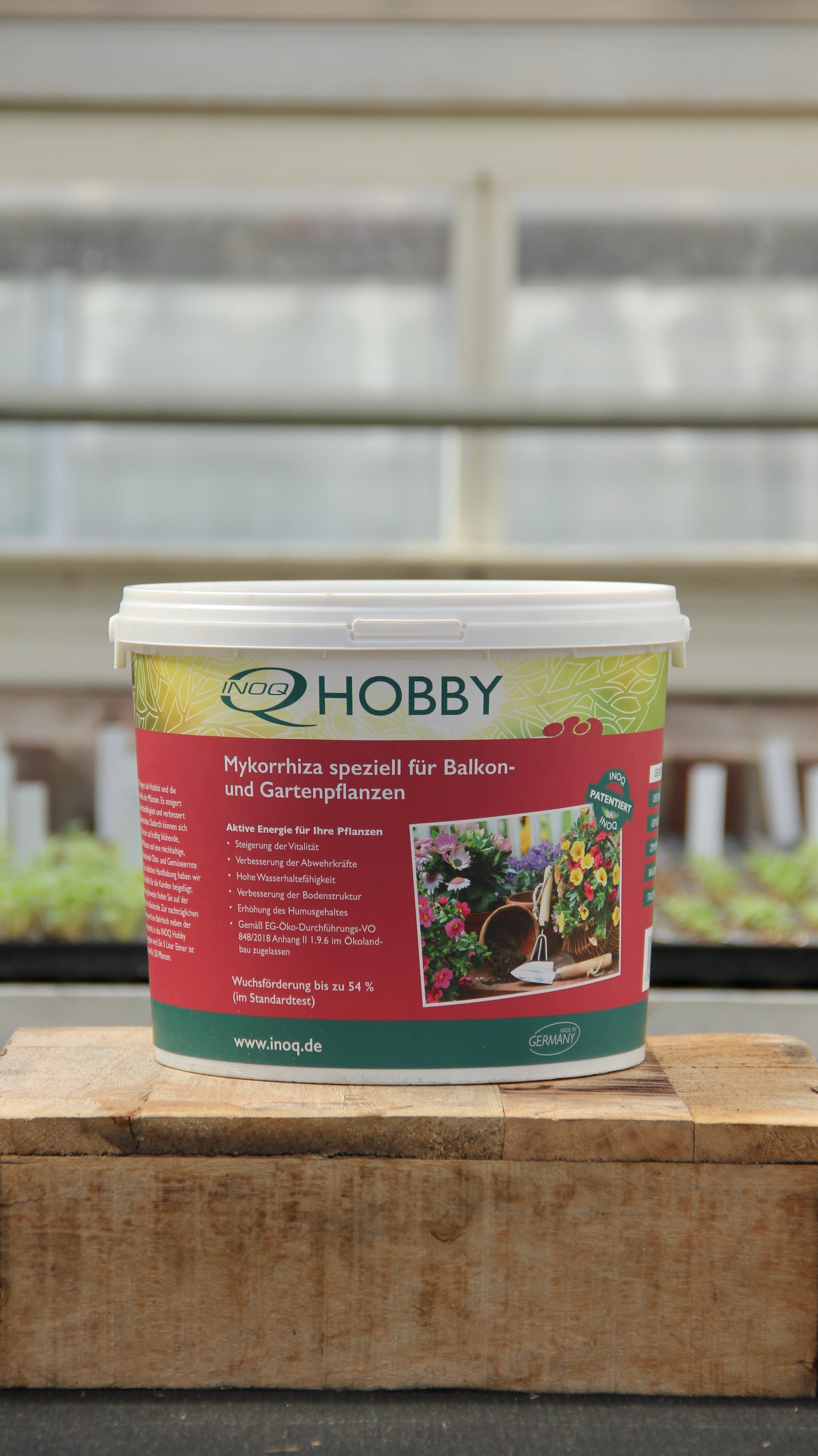 Ein 5-Liter-Eimer Inoq INOQ Hobby Mykorrhiza Wurzelkraft für gesunde Pflanzen steht auf einer Holzfläche in einem Gewächshaus, umgeben von Setzlingen mit verschwommenen Fenstern im Hintergrund.