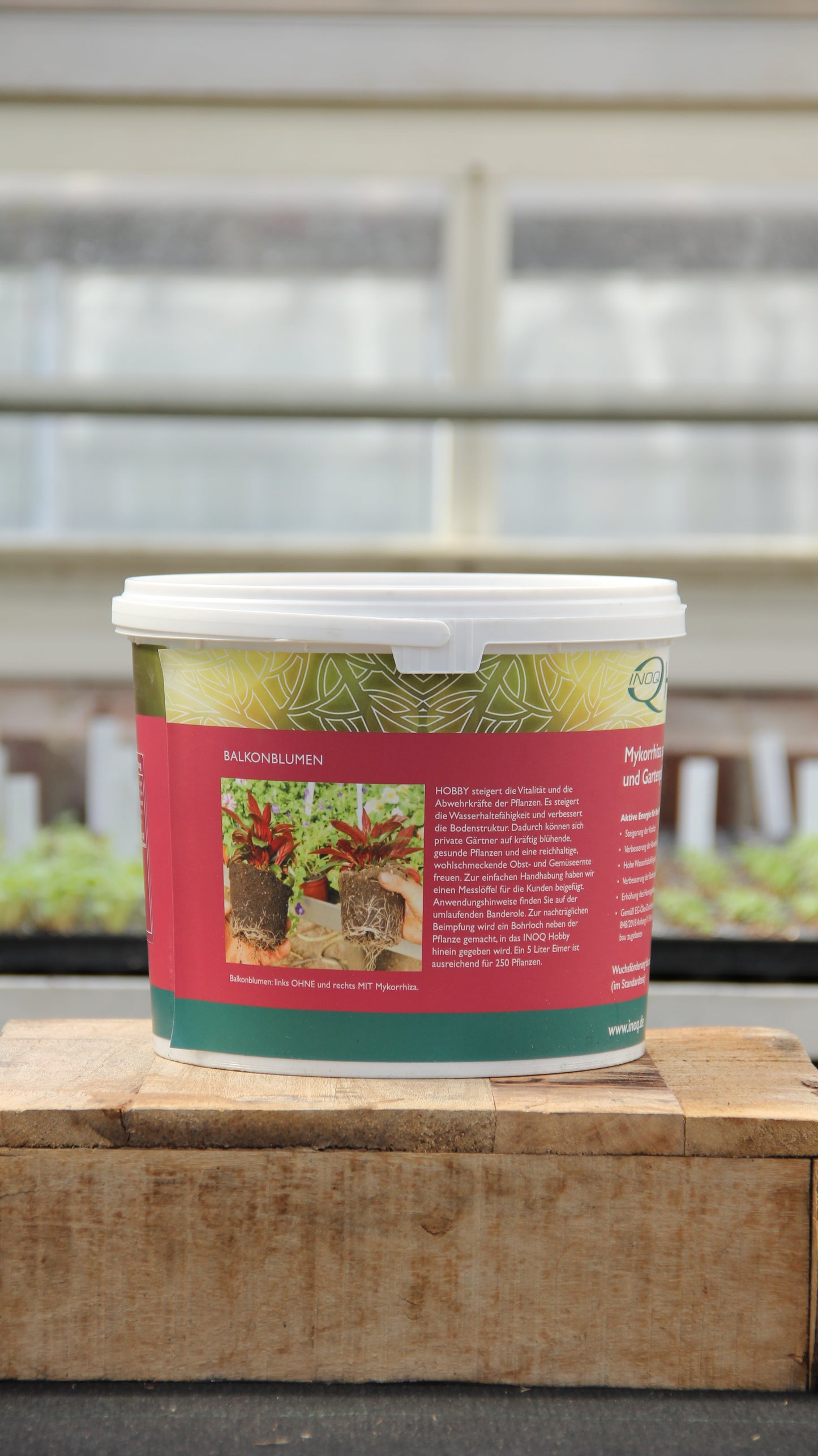 Ein 5-Liter-Plastikbehälter von INOQ Hobby Mykorrhiza Wurzelkraft für gesunde Pflanzen von Inoq mit einem rot-grünen Etikett, das blühende Blumen zeigt, steht in einem Gewächshaus auf Holz vor einem unscharfen Hintergrund.
