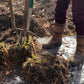 Jemand in braunen Stiefeln bearbeitet mit einer Gartengabel Erde und entwurzeltes Gras. Das Sonnenlicht scheint, während sie den Garten für die nächste Saison vorbereiten - mit Mi. 04.11.2026 | 10-13 Uhr Halbtageskurs der Königlichen Gartenakademie.