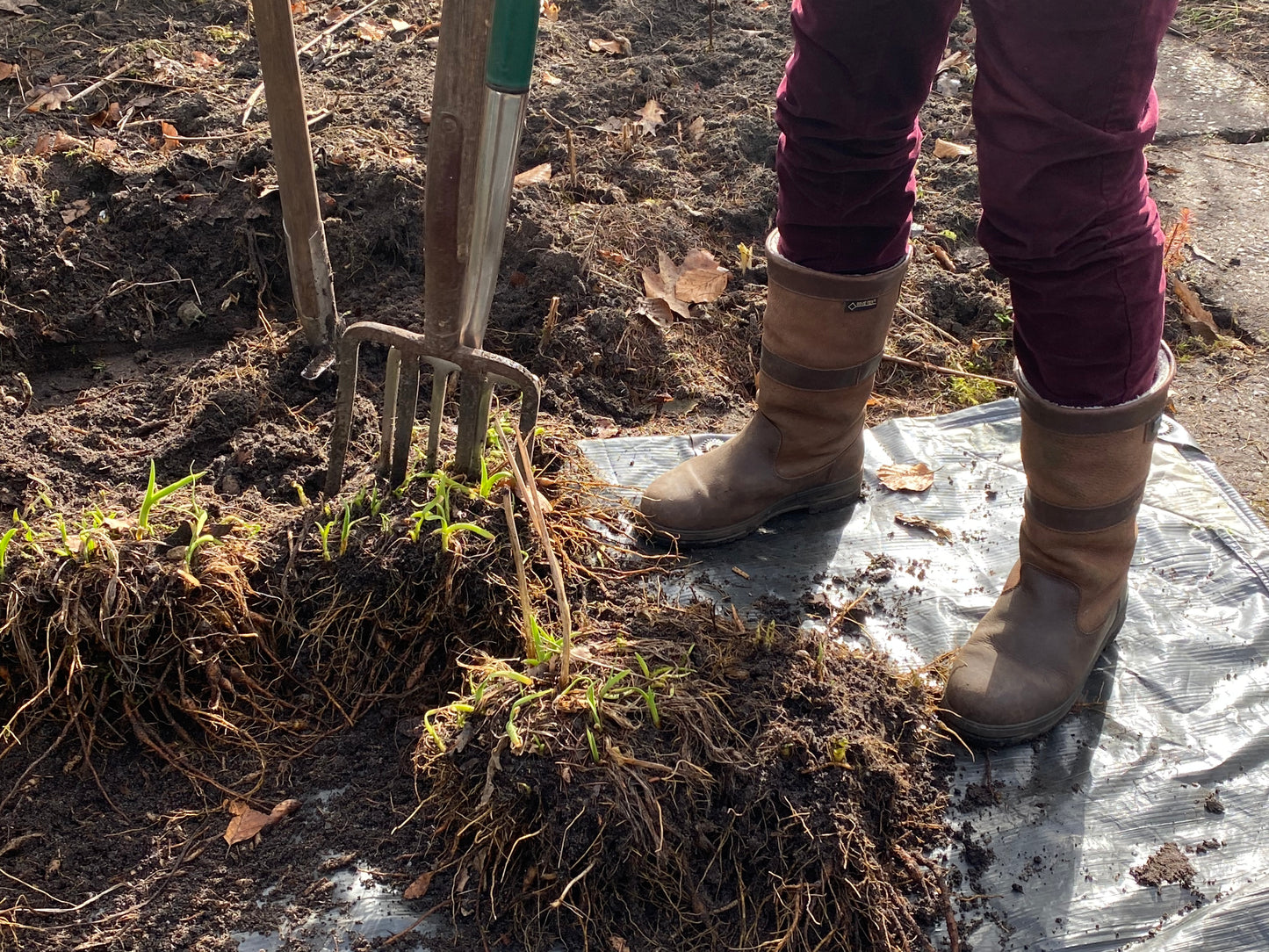 Jemand in braunen Stiefeln bearbeitet mit einer Gartengabel Erde und entwurzeltes Gras. Das Sonnenlicht scheint, während sie den Garten für die nächste Saison vorbereiten - mit Mi. 04.11.2026 | 10-13 Uhr Halbtageskurs der Königlichen Gartenakademie.