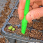 Eine Hand sticht mit einem grünen Pflanzstock ein Loch in die Erde einer Anzuchtschale für den Workshop Aus eigener Anzucht: Pflanzenvermehrung der Königlichen Gartenakademie, direkt neben einem kleinen Keimling.