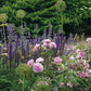 Erleben Sie fachkundige Beetgestaltung mit blühenden rosa Rosen, hohen Allium-Blütenköpfen und lila Salbei bei der ZWEI-TAGES-MASTERCLASS am 28-29.10.2026 (10:00-16:30), veranstaltet von der Königlichen Gartenakademie.
