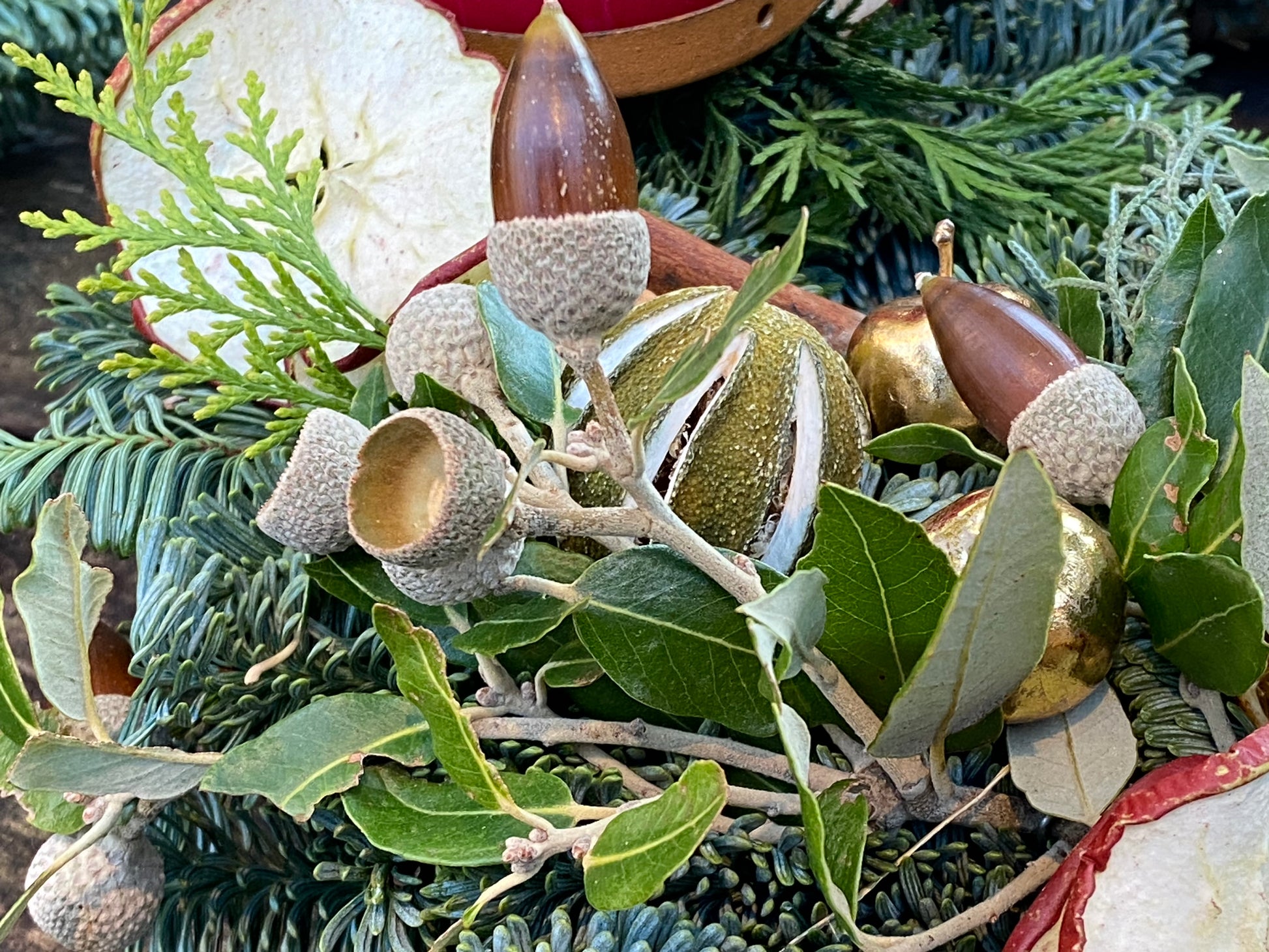 Gestalten Sie für die Königliche Gartenakademie "WORKSHOP Adventskranzbinden" am Mi. 25.11.2026 mit Eicheln, Goldornamenten, Tannennadeln, grünen Blättern und getrockneten Apfelscheiben eine natürliche und festliche Auslage für Kranzbinden-Liebhaber.