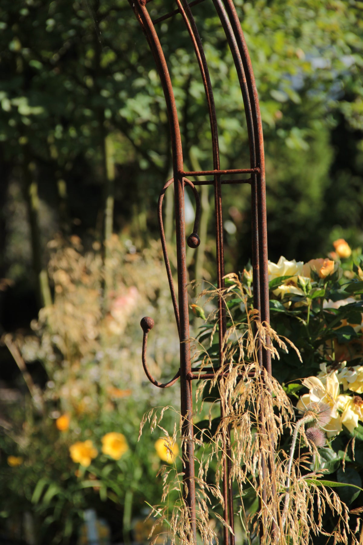 Ein verrosteter Gartenbogen aus Metall steht inmitten von hohem Gras und blühenden gelben Blumen, ergänzt durch den Hirsch Baumhaken – einen robusten, massiven S-Bogen mit Kugeln aus hochwertigem Edelrost-Vollmaterial –, der sich harmonisch in die Szene einfügt, mit grünem Laub im Hintergrund an einem sonnigen Tag.
