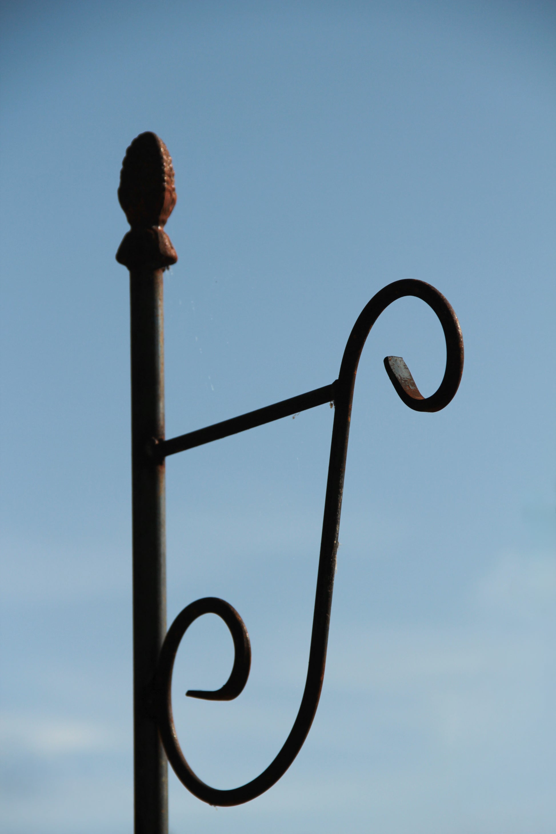 Ein Hirsch-Laternenstab „Bino Pinie“, erhältlich in den Längen 1,7 oder 2,0 Meter, gefertigt aus schwarzem Metall mit dekorativen Schnörkeln, ragt vor einem strahlend blauen Himmel empor und erinnert an die elegante Form eines Rankstabs.