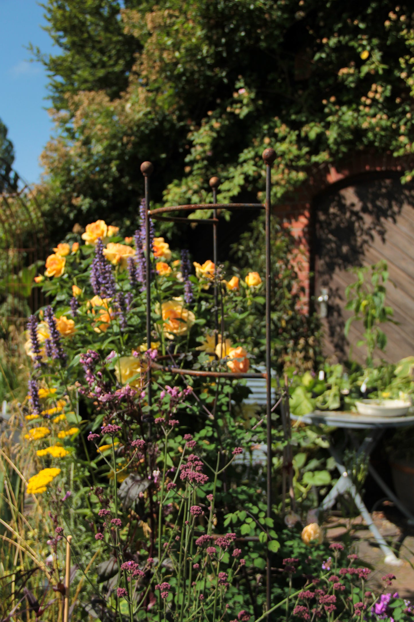 In einem üppigen Garten leuchten leuchtend gelbe und violette Blüten inmitten des grünen Laubs, während zwei halbrunde „Hirsch Staudenhalter HUGO“ den hohen Blüten in der Nähe eines Metallspaliers stabilen Halt bieten. Vor einer mit Weinreben bewachsenen Holztür steht ein runder Tisch, der das ruhige, sonnendurchflutete Bild abrundet.
