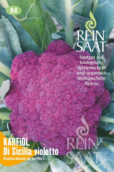Eine Nahaufnahme eines leuchtenden Reinsaat | Karfiol 'Di Sicilia violetto' Blumenkohls inmitten grüner Blätter. Auf der Reinsaat-Verpackung finden sich Angaben zum biologischen und biodynamischen Anbau in deutscher und italienischer Sprache.