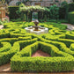 Inspiriert von der englischen Gartenkunst bietet "Gärtnern wie Gott in England" aus dem Callwey Verlag detaillierte Anleitungen und inspirierende Bilder für die Gestaltung formaler Gärten mit gestutzten Hecken, Kieswegen und symmetrischen Formen um einen zentralen Brunnen.