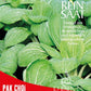 Nahaufnahme der Blätter von Reinsaat Pak Choi 'Weißer Selleriesenf', die weiße Adern zeigen. Auf der Packung befinden sich der Reinsaat Schriftzug, Informationen auf Deutsch und Englisch und ein Bio Austria Bio-Siegel in der linken oberen Ecke.