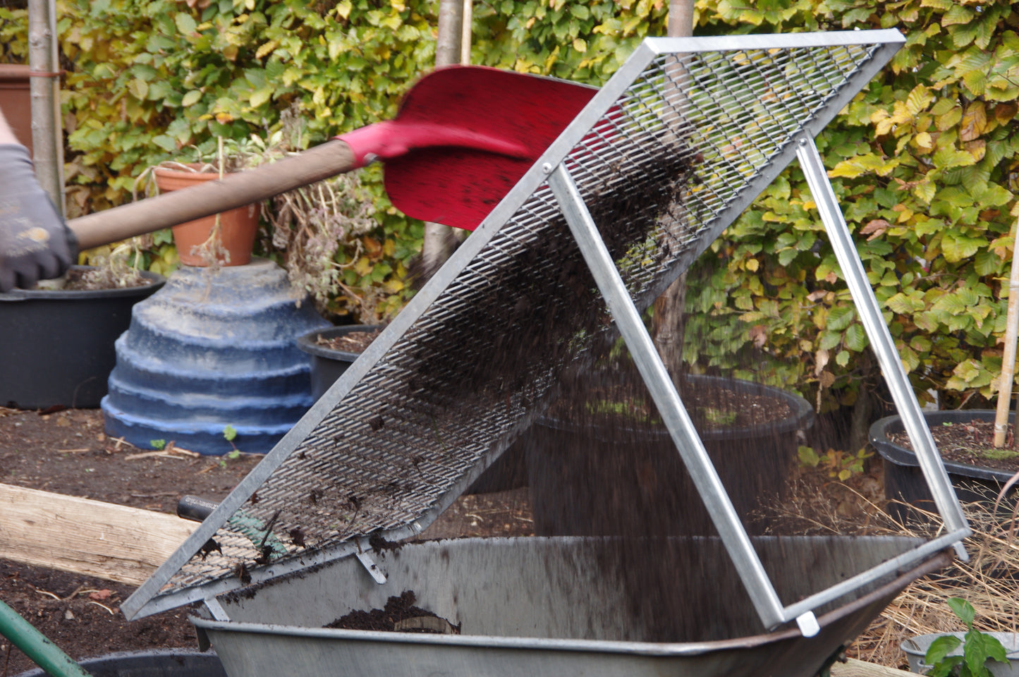 Beim WORKSHOP Kompost der Königlichen Gartenakademie "Das wahre Gold des Gärtners: Das wahre Gold des Gärtners" (Di. 24.03.2026, 10.00-11.30) sieben die Teilnehmer Komposterde mit einer roten Schaufel durch ein Sieb in eine Schubkarre im Garten.