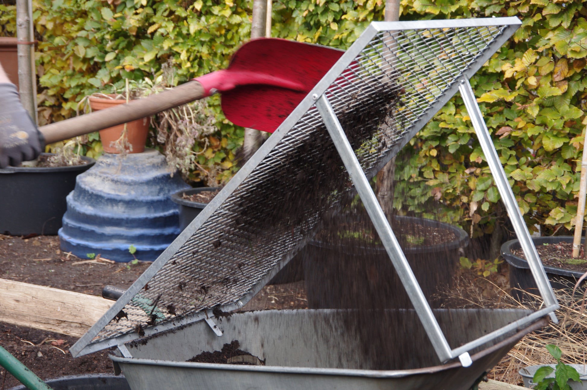 Beim WORKSHOP Kompost der Königlichen Gartenakademie "Das wahre Gold des Gärtners: Das wahre Gold des Gärtners" (Di. 24.03.2026, 10.00-11.30) sieben die Teilnehmer Komposterde mit einer roten Schaufel durch ein Sieb in eine Schubkarre im Garten.