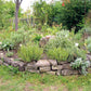Ein gestapeltes, mit Kräutern gefülltes Hochbeet aus Stein unterstreicht naturnahe Gartengestaltung und Artenvielfalt, wie sie im HALBTAGESKURS "Gesunde Pflanzen durch Artenvielfalt im Garten NEU" der Königlichen Gartenakademie am Do. 17.9.2026, 10-13 Uhr.