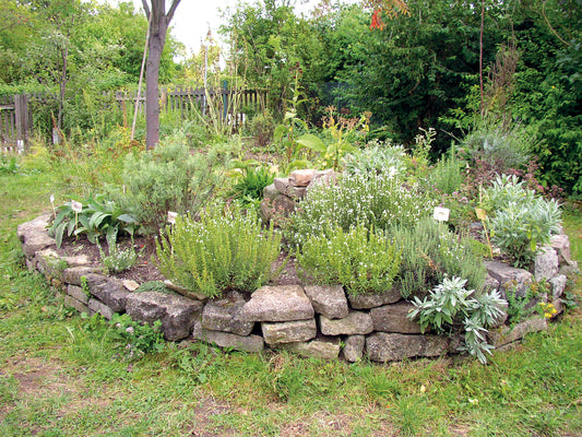 Ein gestapeltes, mit Kräutern gefülltes Hochbeet aus Stein unterstreicht naturnahe Gartengestaltung und Artenvielfalt, wie sie im HALBTAGESKURS "Gesunde Pflanzen durch Artenvielfalt im Garten NEU" der Königlichen Gartenakademie am Do. 17.9.2026, 10-13 Uhr.