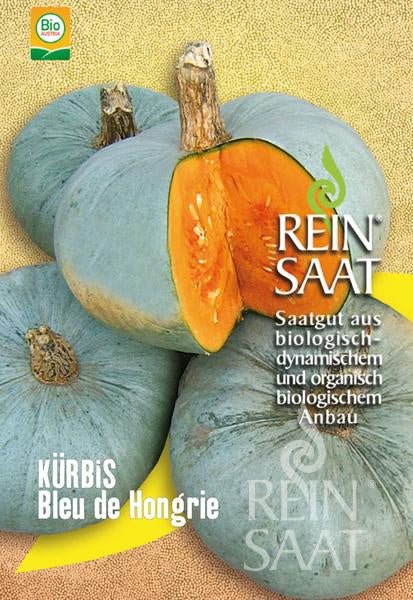 Drei runde, blaugraue Kürbis 'Bleu de Hongrie' aus Reinsaat sind abgebildet, von denen einer aufgeschnitten wurde, so dass das orangefarbene Fruchtfleisch zum Vorschein kommt. Text: Reinsaat | Kürbis 'Bleu de Hongrie'. Lagerfähig. Saatgut aus biologisch-dynamischem und organisch-biologischem Anbau.