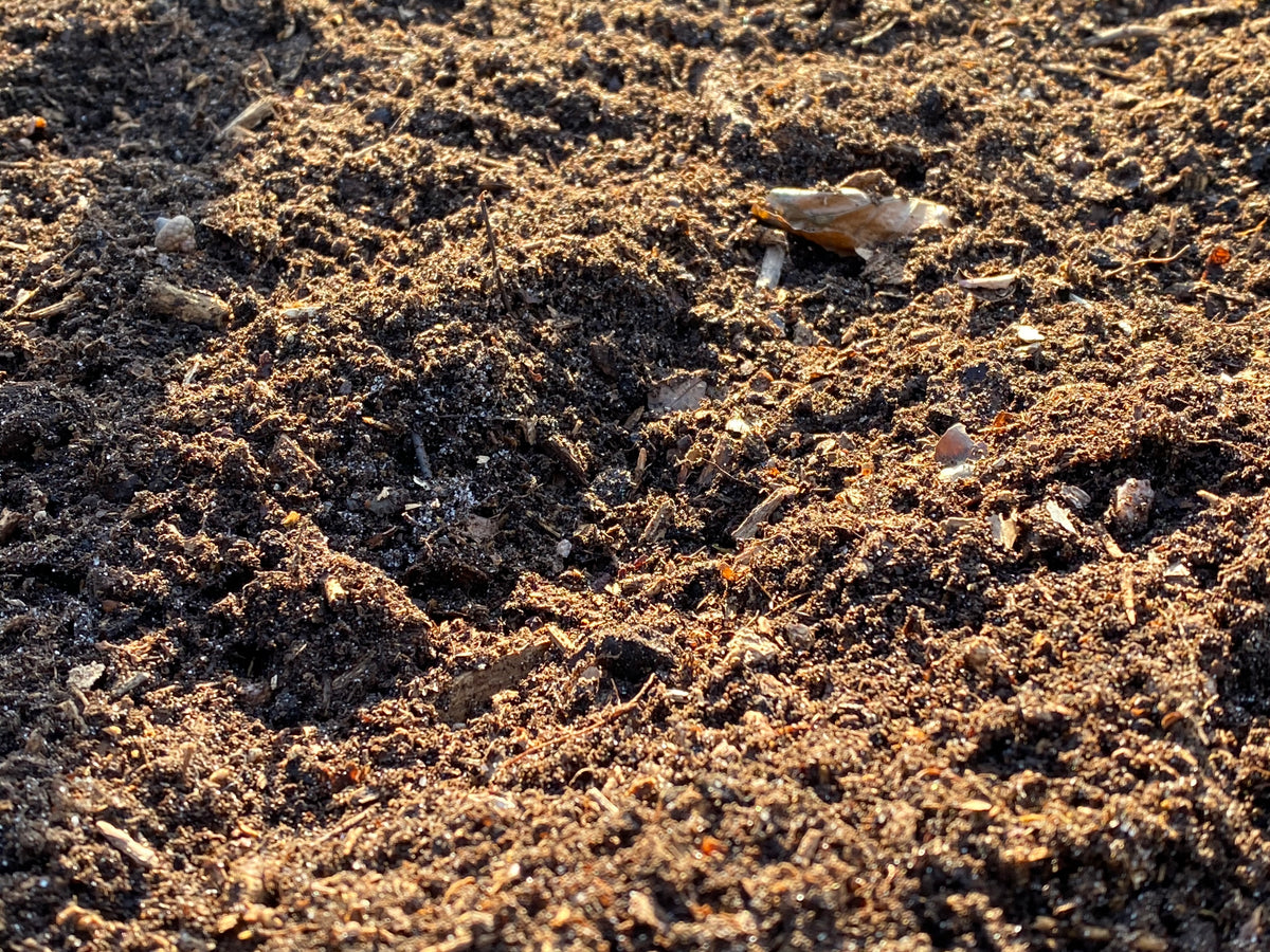 Nahaufnahme von dunkler, nährstoffreicher, gesunder Gartenerde mit organischen Bestandteilen, vorgestellt im Rahmen des Workshops Glücklicher Boden, glückliche Pflanzen: weniger Pflege der Königlichen Gartenakademie am Freitag, 19.3.2027, 10.00 – 12.00 Uhr.