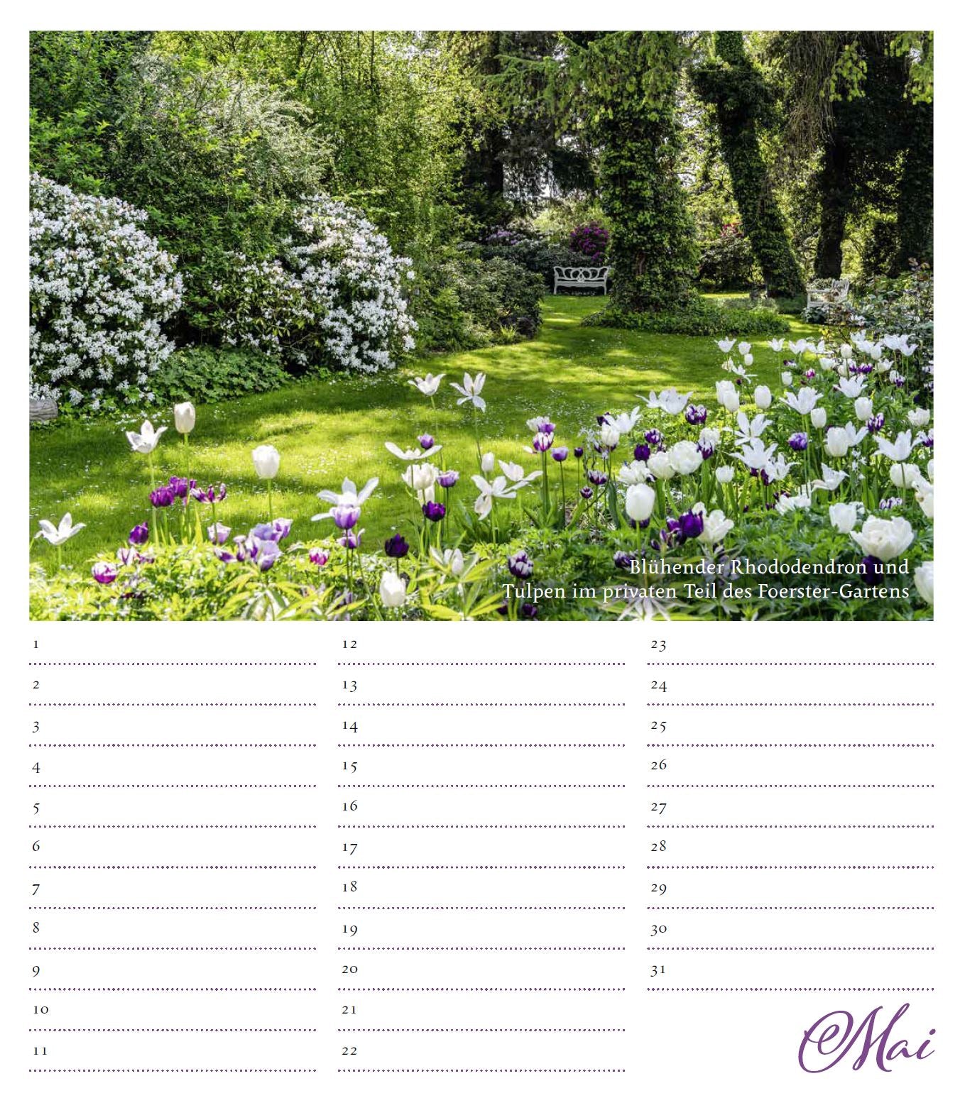 Ein üppig blühender Garten mit Rhododendren und Tulpen, eine weiße Bank im Schatten hoher Bäume. Der Geburtstagskalender Karl Foerster von Monumente Publikationen bezeichnet den Monat Mai am unteren Rand.