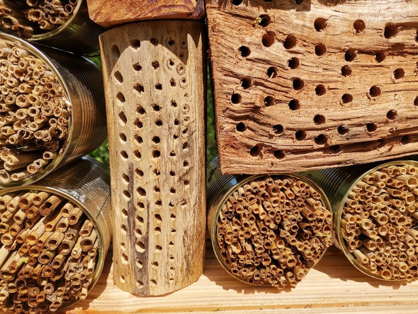 Selbstgebautes Insektenhotel aus Dosen, Bambusrohren und Holzklötzen mit Bohrlöchern - perfekt als kreatives Naturschutzprojekt für Ihren Garten. Besuchen Sie den HALBTAGESKURS "Naturschutz im Garten" der Königlichen Gartenakademie am Mi. 06.05.2026, 10-13 Uhr!.