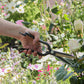 Eine Hand hält die Niwaki | 'Sentei Topiary Clippers' Buchsbaumschere und schneidet weiße Rosen in einem blühenden Garten voller bunter Blumen und üppigem Grün.