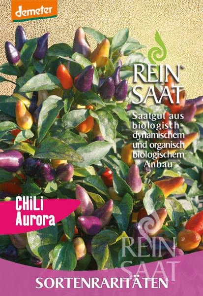 An der Pflanze wachsen leuchtende Reinsaat | Chili 'Aurora' (Capsicum annuum) in lila, rot, orange und gelb. Auf dem Etikett stehen "REIN SAAT", "Chili Aurora", Tipps zur Konservierung von Chilis und deutsche Hinweise zu Bio-Saatgut und Anbau.