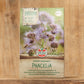 Eine 350g-Packung von Sperli's | Bodenkur 'Phacelia' BIO-Samen zeigt blühende Phacelia-Blüten mit violetten Blütenblättern auf einem Holzhintergrund. Die Verpackung weist auf die Verwendung als Gründünger zur Bodenverbesserung hin.