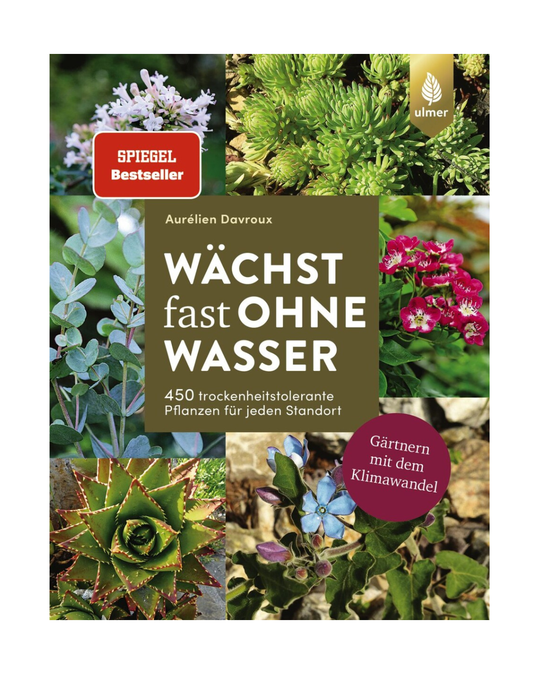 Buchumschlag mit trockenheitsverträglichen Pflanzen und Sukkulenten, mit dem Titel Wächst fast ohne Wasser | Gärtnern mit dem Klimawandel vom Ulmer Verlag, mit SPIEGEL Bestseller und klimawandel gärtnern Plaketten.