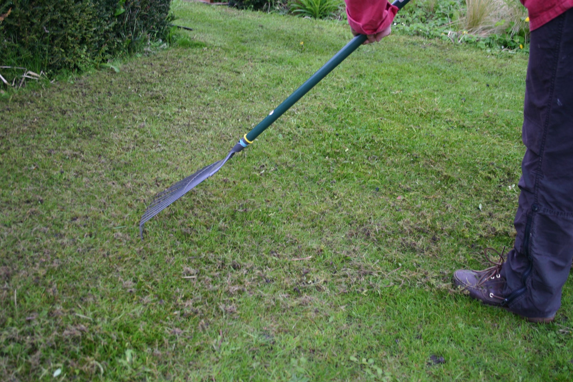 Eine Person harkt einen grünen Rasen, umgeben von Pflanzen - eine ideale Inspiration für die Veranstaltung "Mi. 01.04.2026 | 15.00-16.30 RUNDGANG Was zu tun ist im Garten im April" in der Königlichen Gartenakademie.