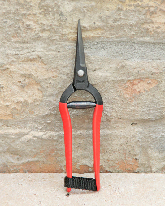 Ein Paar Niwaki | „Forged Snips“-Blumenscheren von Niwaki mit roten Griffen und einer schwarzen Metallklinge, aufrecht vor dem Hintergrund einer Steinmauer platziert.