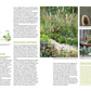 Eine Doppelseite aus "Der antiautoritäre Garten | Gärten, die sich selbst gestalten" aus dem Kosmos Verlag zeigt Wachstumsstadien von Pflanzen, deutschen Text und Fotos von Vögeln, Topfpflanzen und üppigen pflegeleichten Gärten. Gelbe und grüne Hervorhebungen akzentuieren die Abschnitte.