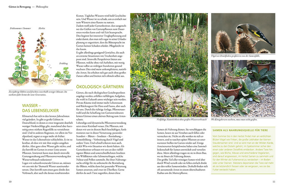 Eine Doppelseite aus "Der antiautoritäre Garten | Gärten, die sich selbst gestalten" aus dem Kosmos Verlag zeigt Wachstumsstadien von Pflanzen, deutschen Text und Fotos von Vögeln, Topfpflanzen und üppigen pflegeleichten Gärten. Gelbe und grüne Hervorhebungen akzentuieren die Abschnitte.