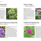 Im Buch "Der antiautoritäre Garten" vom Kosmos Verlag finden Sie eine Doppelseite mit Echter Engelwurz, Wilder Karde, Pfirsichblättriger Glockenblume und Purpur-Witwenblume - jeweils mit Foto und ausführlicher botanischer Beschreibung.