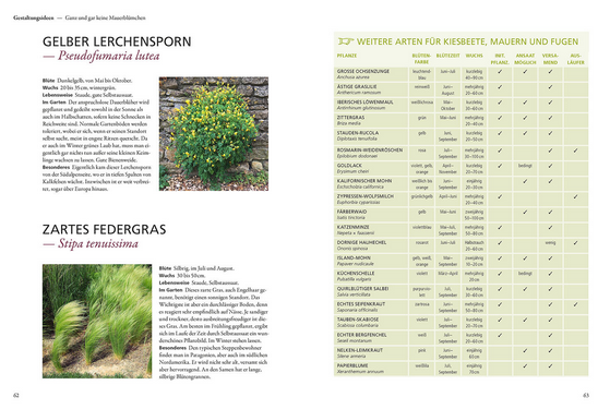 Eine Buchseite aus "Der antiautoritäre Garten" vom Kosmos Verlag zeigt Pflanzenbilder - gelb blühende Sträucher und Ziergräser - und eine Tabelle mit selbstversamenden Pflanzen für pflegeleichte Gärten, Kiesbeete, Mauern und Fugen.
