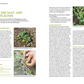 Die deutsche Ausgabe des Magazins zeigt "Der antiautoritäre Garten | Gärten, die sich selbst gestalten" aus dem Kosmos Verlag, mit Tipps für pflegeleichte Gärten, einer Checkliste und Fotos von Samen in der Erde, Aussaat und blättrigen Setzlingen.