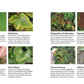 Bist du noch zu retten? vom Kosmos Verlag zeigt mit Fotos und kurzen deutschen Texten Pflanzenkrankheiten, schädliche Insekten wie Milben und Fliegen sowie Pflegefehler - inklusive Rostpilze, Mehltau und Blattflecken.