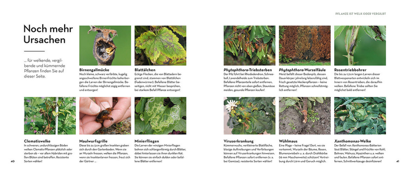 Bist du noch zu retten? vom Kosmos Verlag zeigt mit Fotos und kurzen deutschen Texten Pflanzenkrankheiten, schädliche Insekten wie Milben und Fliegen sowie Pflegefehler - inklusive Rostpilze, Mehltau und Blattflecken.